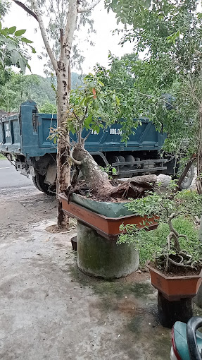 Trim điện Oto