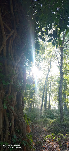 Sentiero natura per Monte Cornacchia