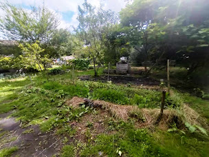 Photo n°16 de Eco-lieu Potabilis la Ferme à Culture à Saint-Magne (Vacances à la ferme)