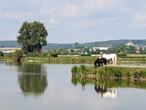 Storchenlehrpfad Uehlfeld - Thumbnail