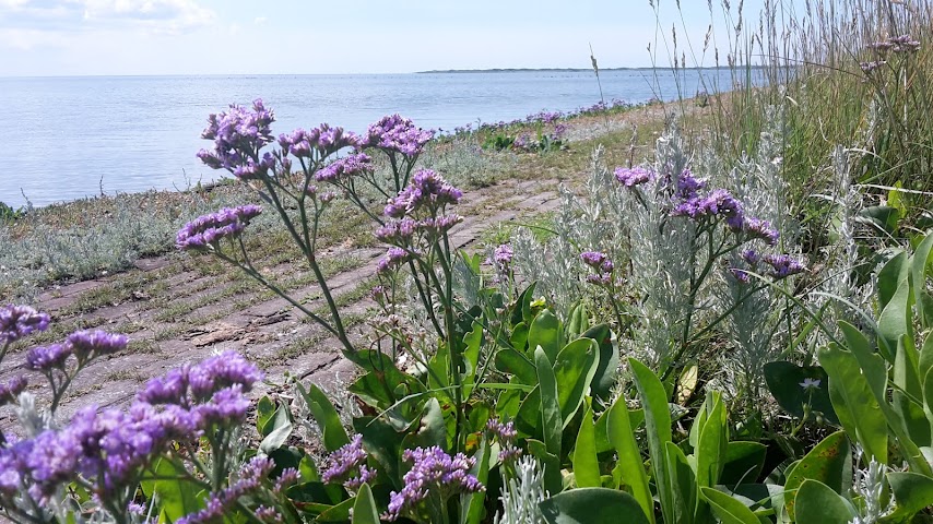 Hotelletje De Veerman by null