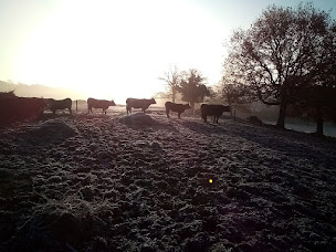 Photo n°6 de La Ferme de La Vallée à Trans-la-Forêt (Ferme bio)