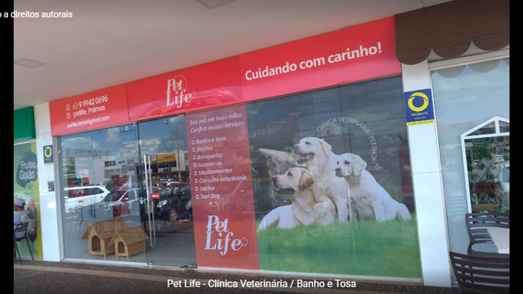 Pet Shop Banho e Tosa Perto de Mim em Lindóia - Animal Life