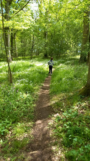 Naturlehrpfad im Oberholz (Gochsheim) - Thumbnail