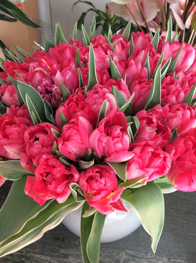 blumen fiori - Thumbnail
