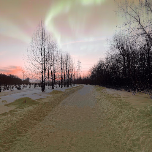 Wetlands Loop - Visual