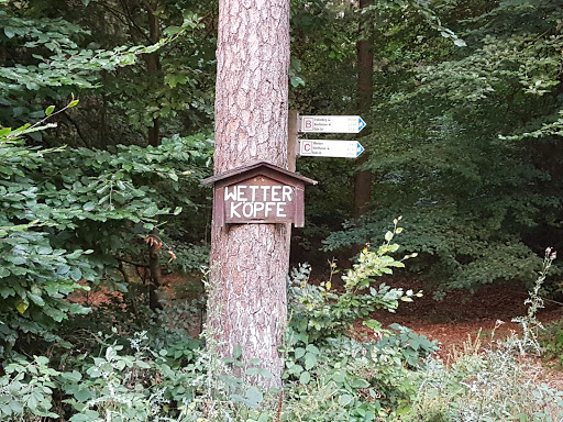 Wetter-Köpfe