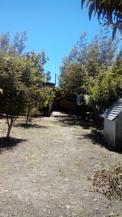 Photos of Estadio N&deg; 2 Cancha De Tierra