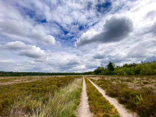 Garderen - Thumbnail