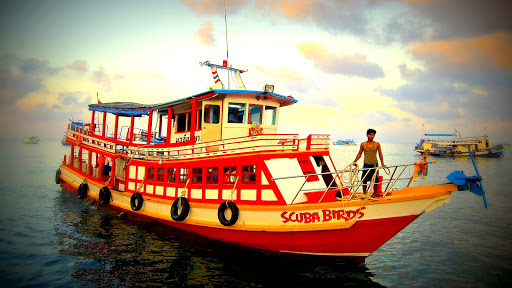 Diving Koh Samui | "Scuba Birds" PADI 5-Star IDC Dive Center | PADI Courses & Diving Tours in Koh Samui Island