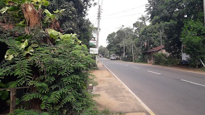 Photos of Walawa Park View Hotel