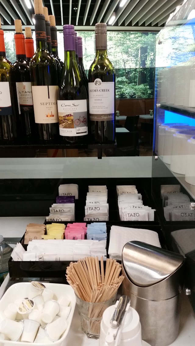 Lufthansa Lounge