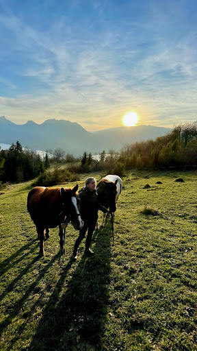 Nature Equestre - Thumbnail