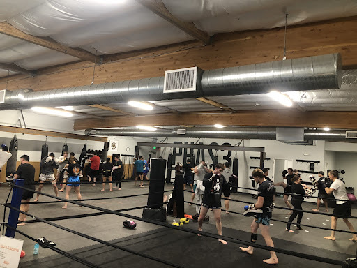 PHAS3 Martial Arts - Thumbnail