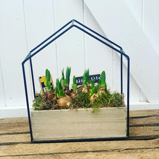 Flowershack - Visual