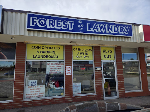 Forest Lawndry - Visual