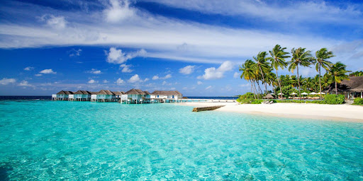 Cruises & Tours By Brennco