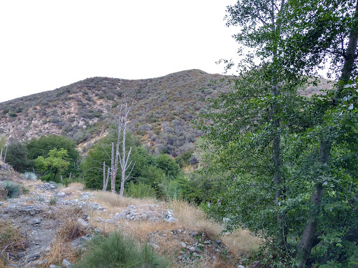 East Fork Day Use Parking Trailhead - Thumbnail