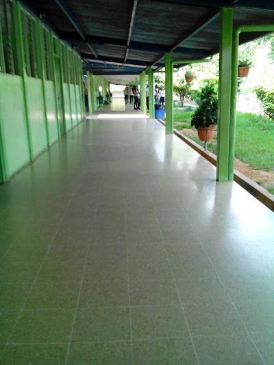 school