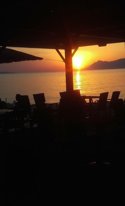 Photos of Beach Bar Kocha