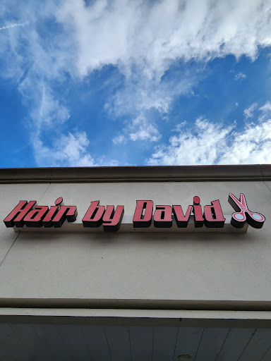 Hair by David - Thumbnail