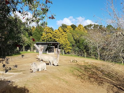 Photos of Hamilton Zoo