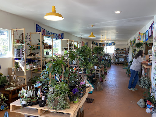 The Meadow-Garden Center - Thumbnail
