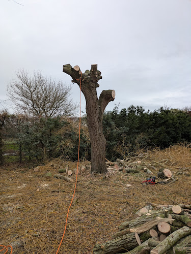 Handy Gardening & Tree Services