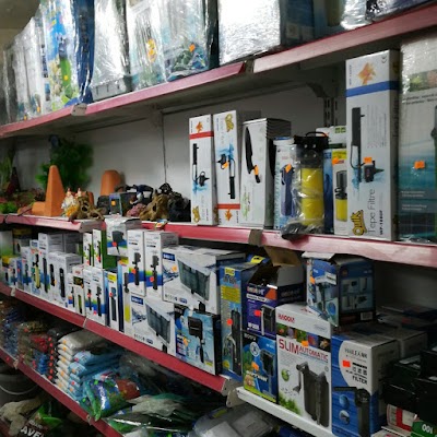 Pet Store İstanbul - Pet Shop