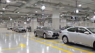 car-dealer
