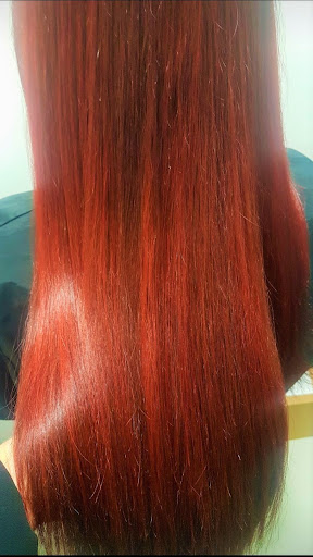 The Organic Hair Studio
