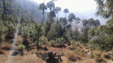 Forest Park Bansra, Muree, Pakistan murree