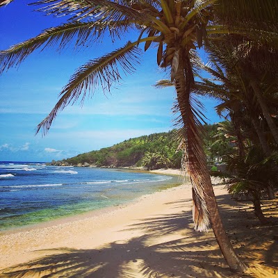 Photos of Martins Bay