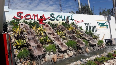 Photos of Sans-Souci Tours