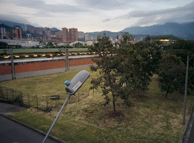 Photos of Itag&uuml;&iacute;