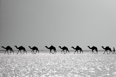 Photos of Welcome Ethiopia Tours
