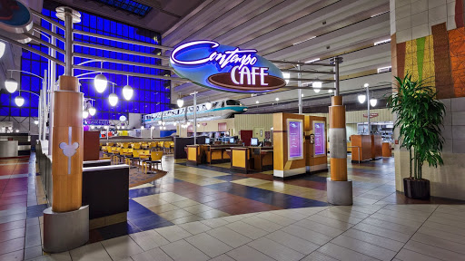 Contempo Café - Visual