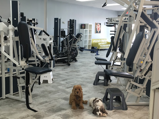 Kelly Personal Training - Thumbnail