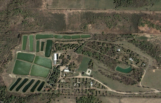 Thistle Springs Trout Farm & Campground