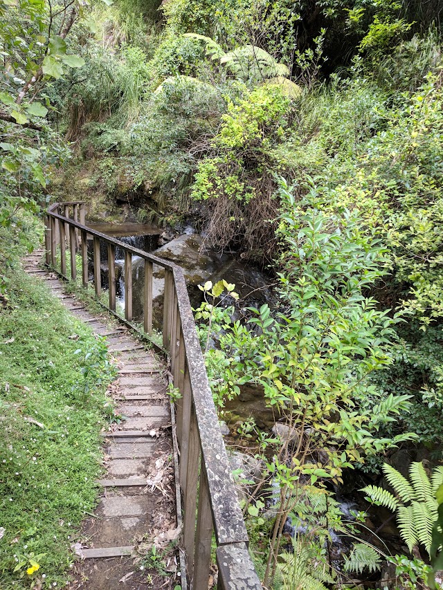 Te Aroha Domain