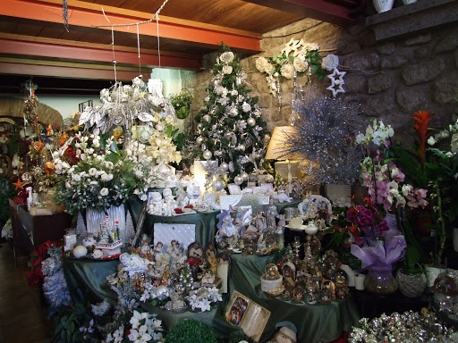 Serra Fiorita - Fiori, Bomboniere e Articoli da Regalo - Thumbnail