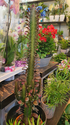 Interflora Södertälje - Thumbnail