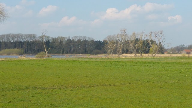 Stedelijk Natuurreservaat Bourgoyen-Ossemeersen