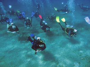 Photo n°5 de Club Avionnais de Plongée (CAP) à Avion (Club de plongée)