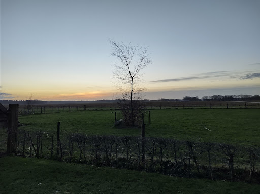 De Boerenzwaluw - Thumbnail
