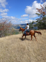 Photo n°11 de Les Ecuries du Lazare à Revest-du-Bion (Centre équestre)