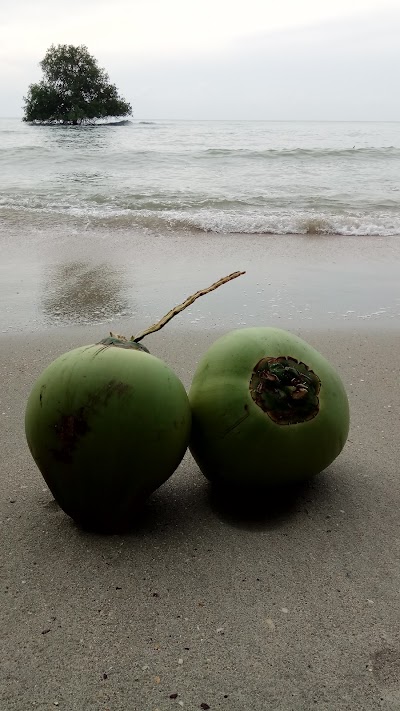 Photos of Pulau Lalang