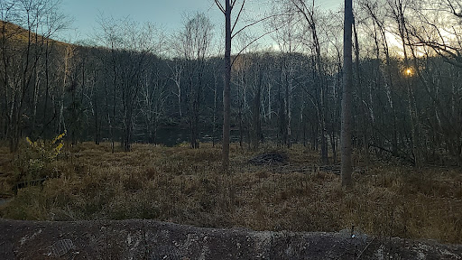 Riverside Nature Trail - Thumbnail