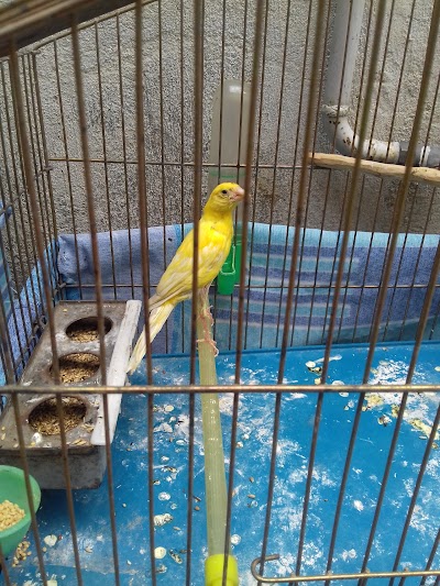 Photos of Razi Park