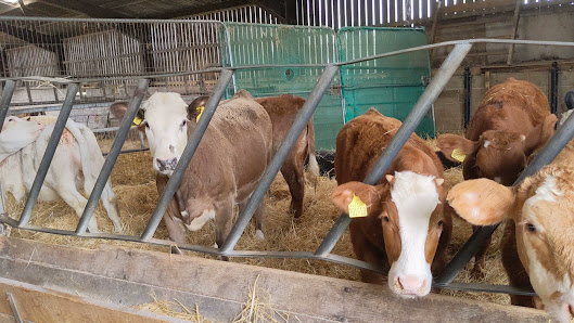 Ganwick Farm, Ganwick Farm, Waggon Rd, Barnet EN4 0PL, United Kingdom